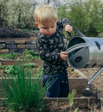 Young child gardening